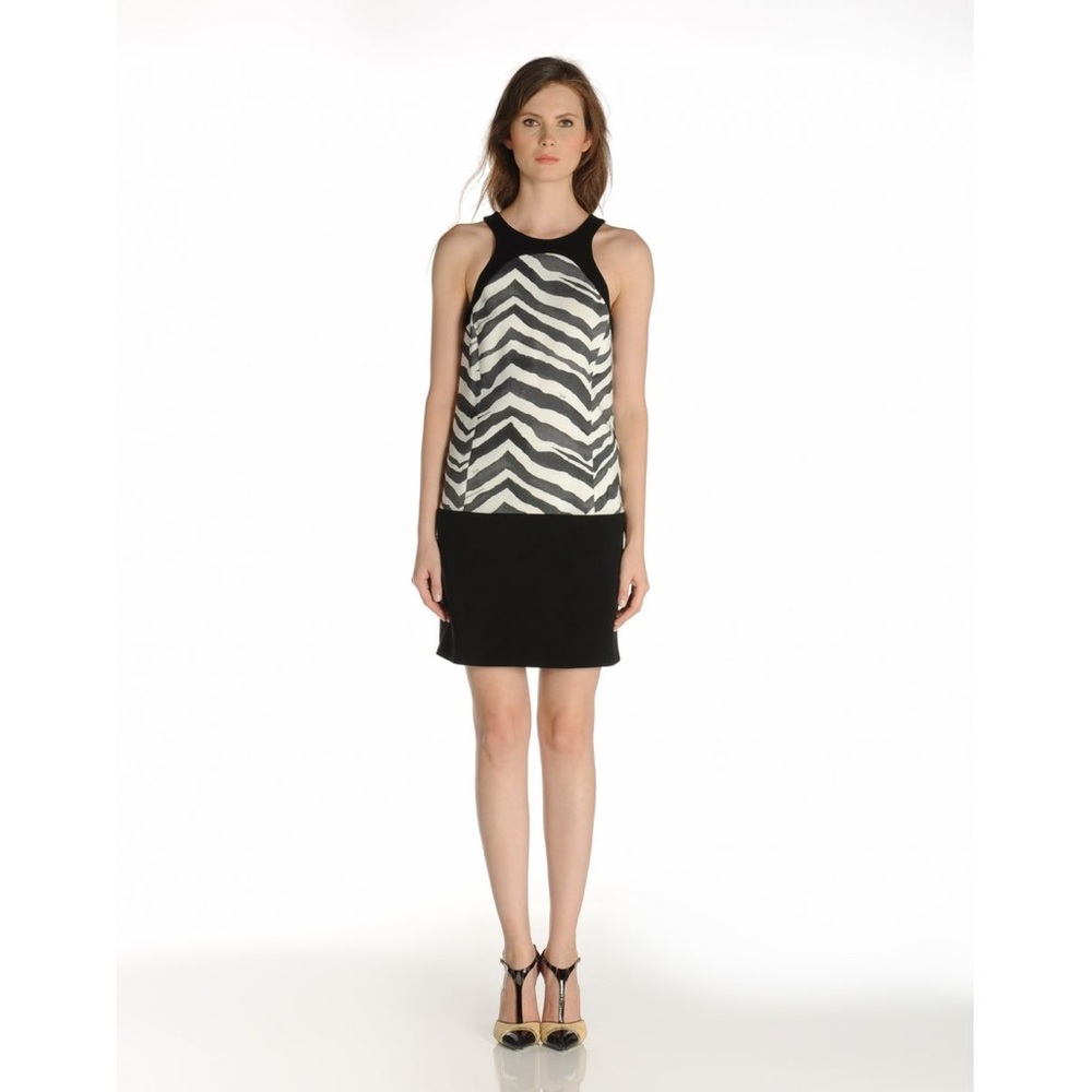 Emilio Pucci Zebra dress!